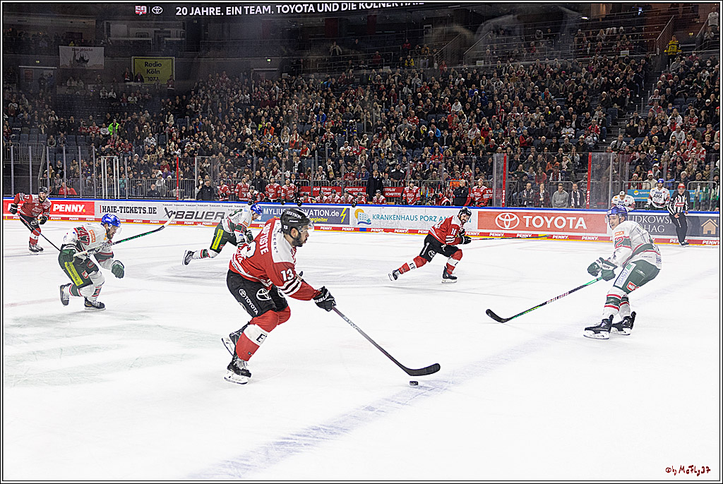 PENNY DEL;  Kölner Haie - Augsburger Panther; Köln, 20.12.2022